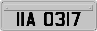 IIA0317