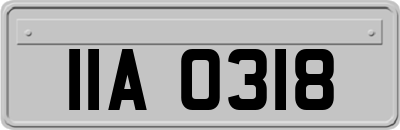 IIA0318