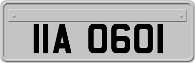 IIA0601