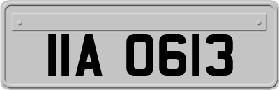 IIA0613