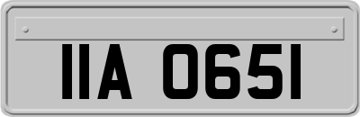 IIA0651