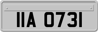IIA0731
