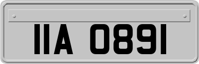 IIA0891