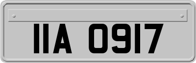 IIA0917
