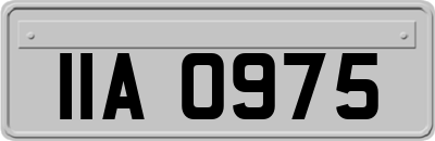 IIA0975