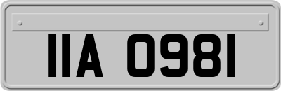 IIA0981
