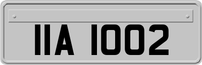 IIA1002