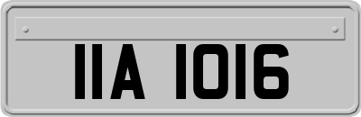 IIA1016