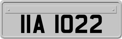 IIA1022