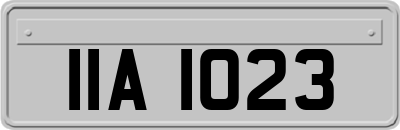 IIA1023