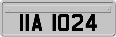 IIA1024