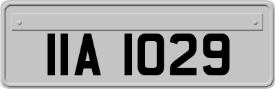 IIA1029