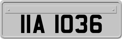 IIA1036