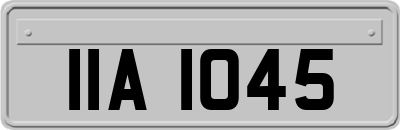 IIA1045