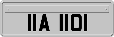 IIA1101