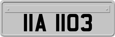 IIA1103