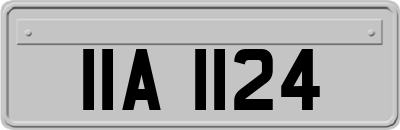 IIA1124