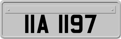 IIA1197