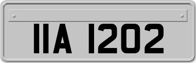 IIA1202