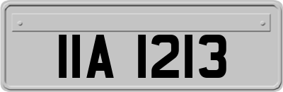 IIA1213