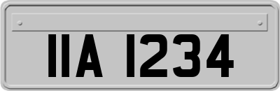 IIA1234