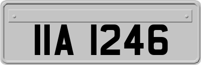 IIA1246
