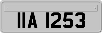 IIA1253