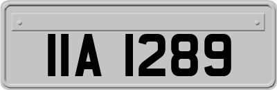 IIA1289