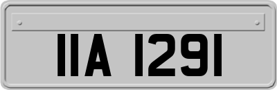 IIA1291