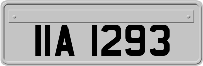 IIA1293