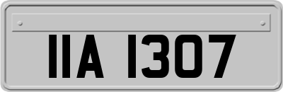 IIA1307