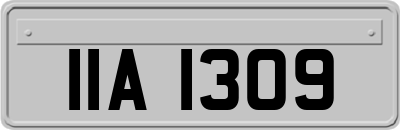 IIA1309
