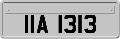 IIA1313