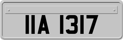 IIA1317