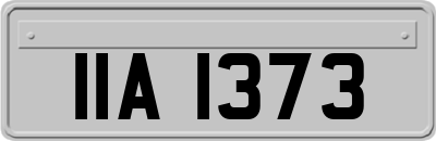 IIA1373