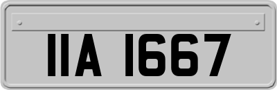 IIA1667