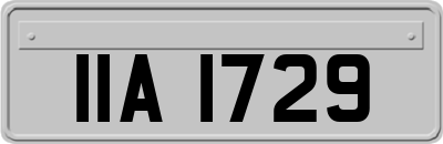 IIA1729