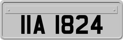 IIA1824