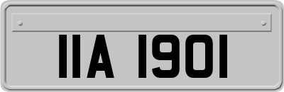 IIA1901