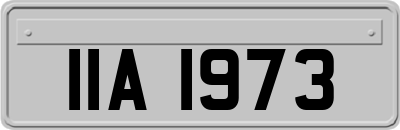 IIA1973