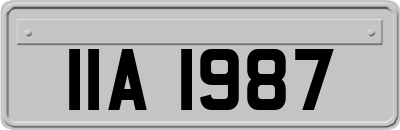 IIA1987
