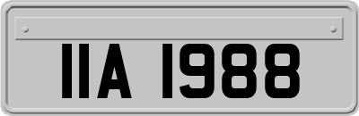 IIA1988