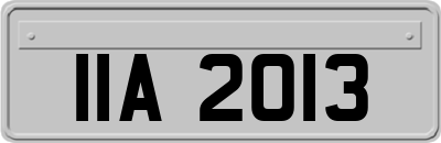 IIA2013