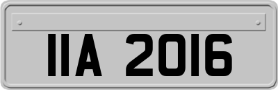 IIA2016