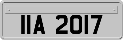 IIA2017