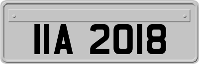 IIA2018