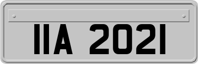 IIA2021