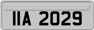 IIA2029