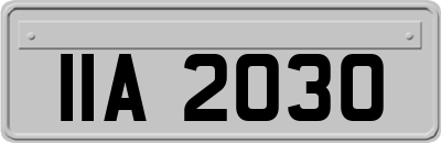 IIA2030