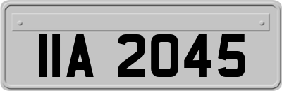 IIA2045